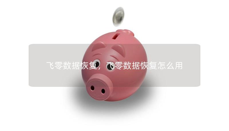 飛零數據恢復，飛零數據恢復怎么用
