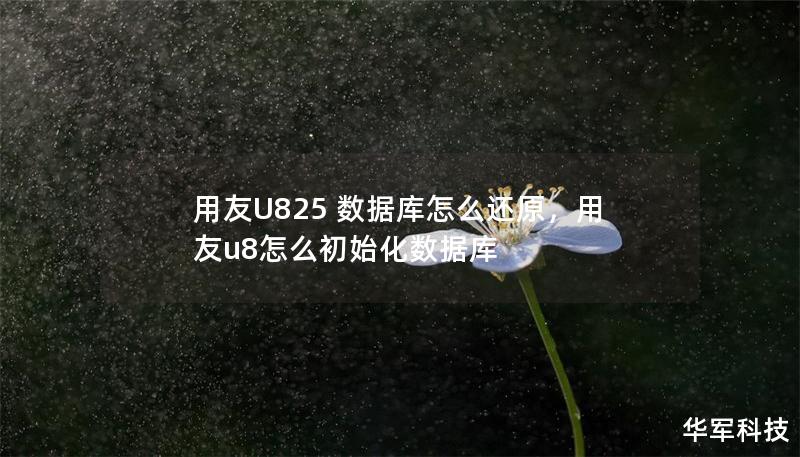 用友U825 數據庫怎么還原，用友u8怎么初始化數據庫