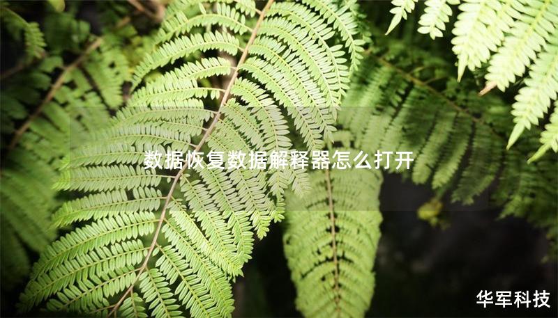 數據恢復數據解釋器怎么打開