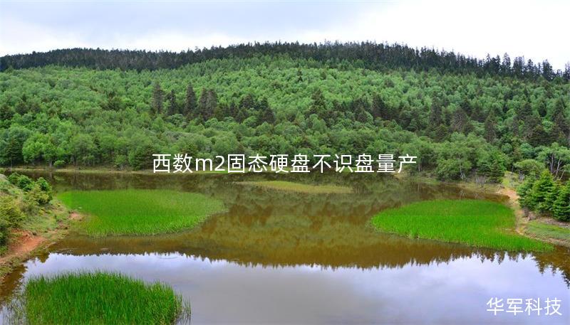 西數m2固態硬盤不識盤量產