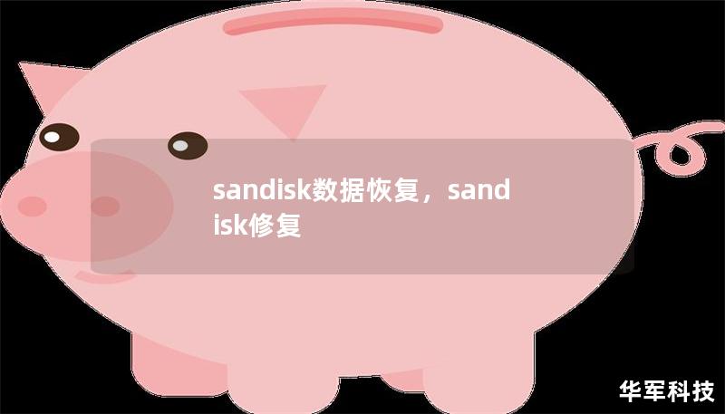 sandisk數(shù)據(jù)恢復(fù)，sandisk修復(fù)