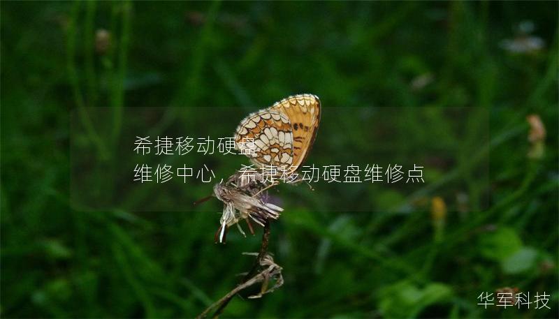 希捷移動硬盤 維修中心，希捷移動硬盤維修點