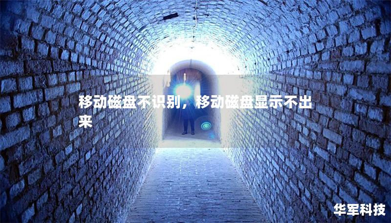 移動磁盤不識別，移動磁盤顯示不出來
