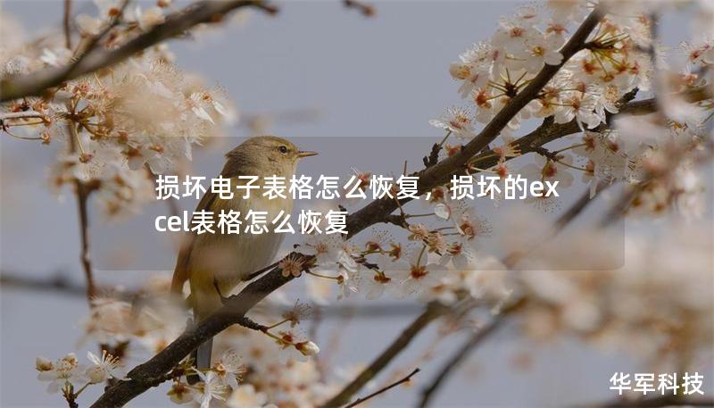 損壞電子表格怎么恢復，損壞的excel表格怎么恢復