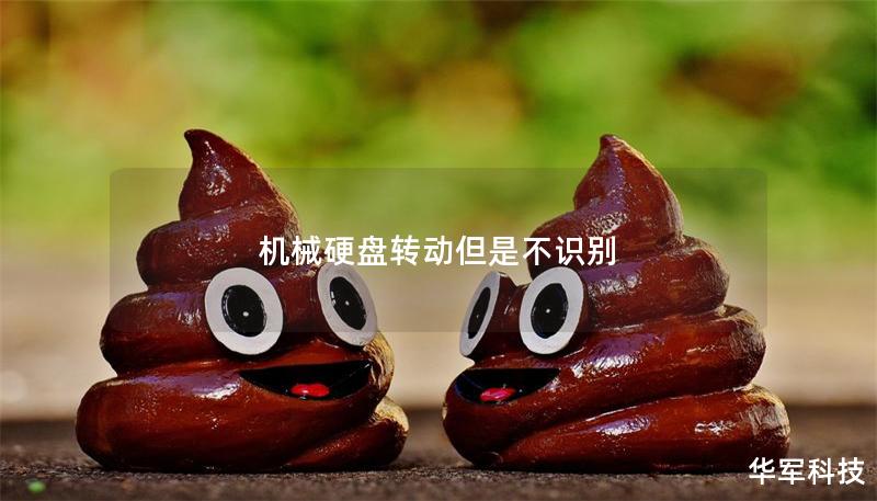 機械硬盤轉動但是不識別