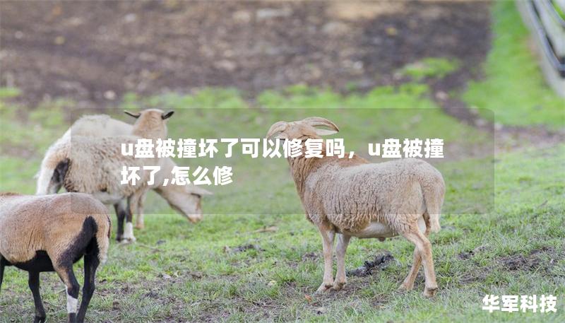 u盤被撞壞了可以修復嗎，u盤被撞壞了,怎么修